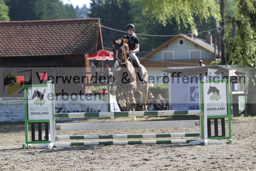 _MG_8272 | equestrian-live-com