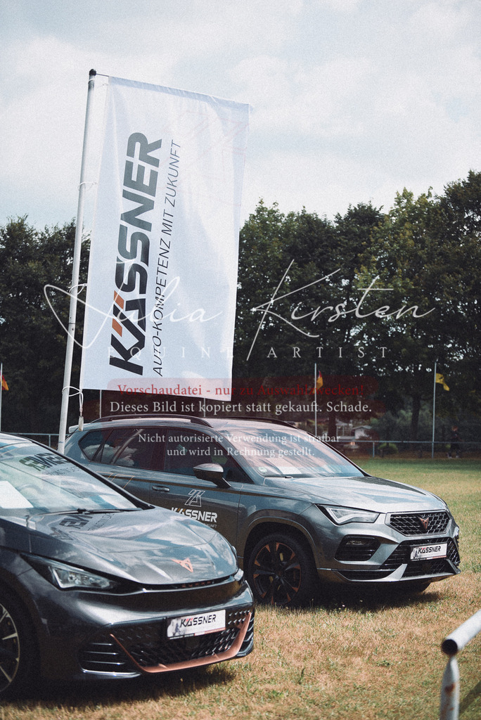 DSC_4266 | Pferde- und Turnierfotografie in Westsachsen. Pferdeportraits, Auftragszeichnungen und intuitive Kunst.