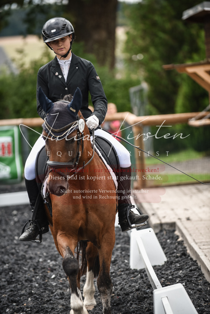 DSC_4529 | Pferde- und Turnierfotografie in Westsachsen. Pferdeportraits, Auftragszeichnungen und intuitive Kunst.