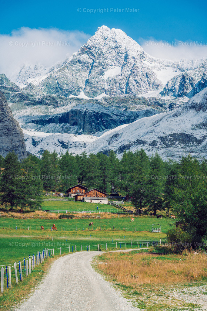 Kals_Herbst-236 | piet_flosse