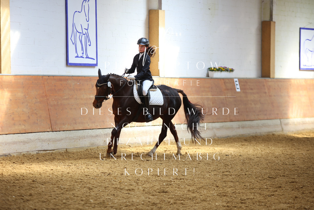 IMGT4120 | pl-fotografie