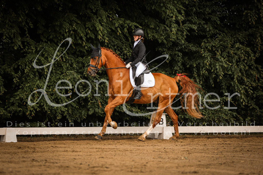 DoDrA00067 | Leoni Ertmer Photography - Realisiert mit Pictrs.com