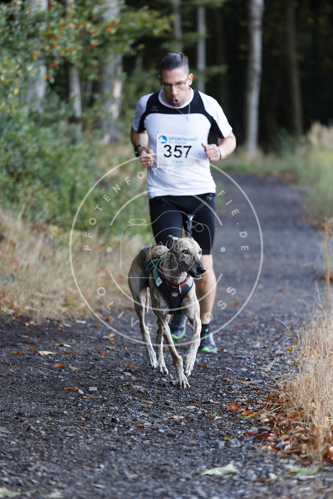 0L8A2075 | Hundefotografie, Tierfotograf, Pfotenfotografie, Fotoshooting Hund, Hunde Portrait, Hundesport, Hundeportraits, Heideshooting, Hunde, Sportfotograf, Hundefotograf, Turnierhundsport, THS,  - Realisiert mit Pictrs.com