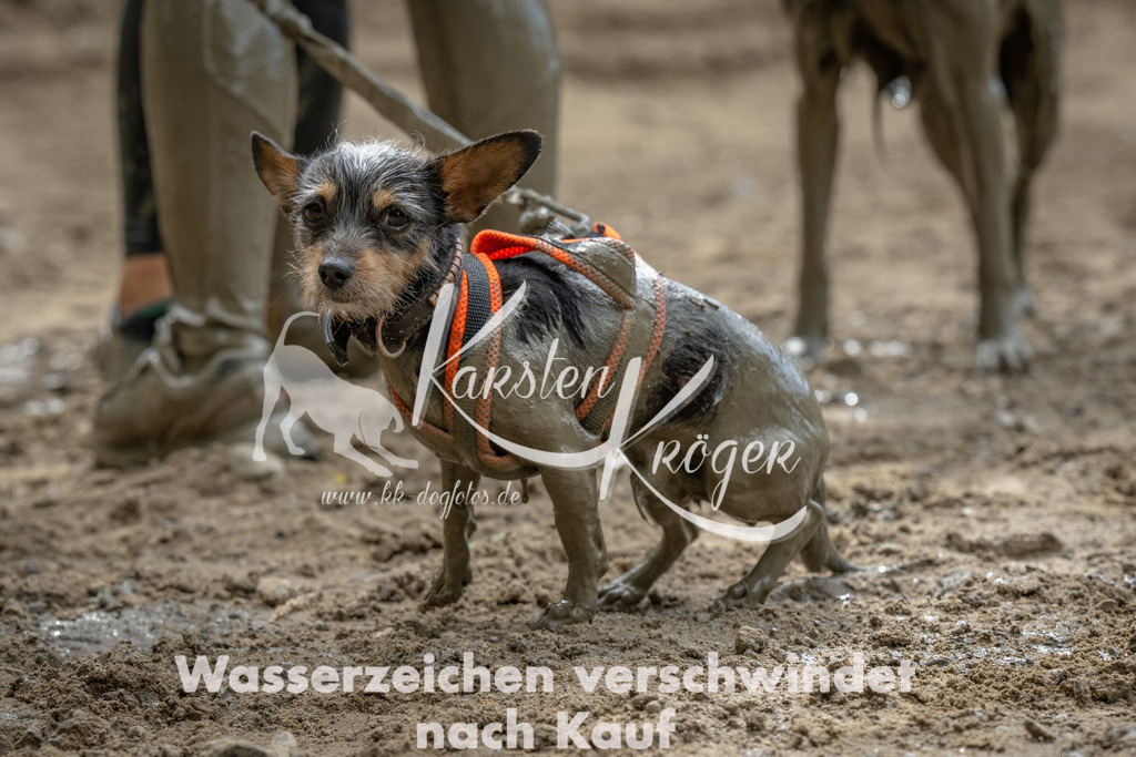 1047_ZZ94445 | kk-dogfotos