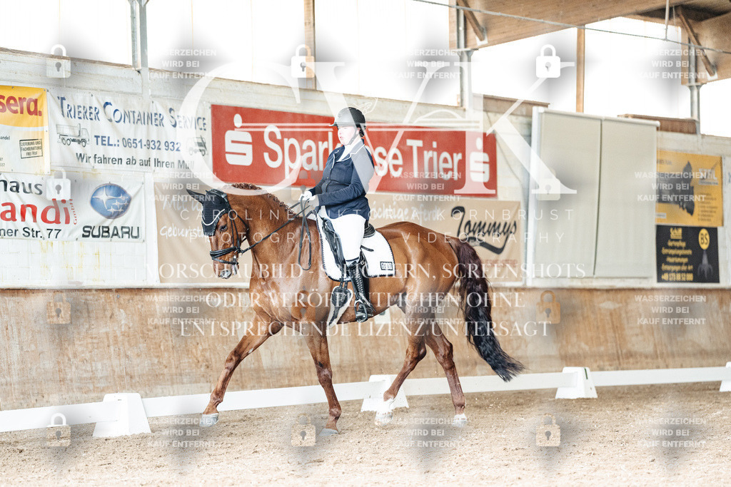 CK901678 | Turnierfotografie Pferdefotografie Trier Rheinland-Pfalz Pferdesport Reitsport Tierfotografie Sportfotografie Pferdevideo Pferdevideografie Equestrianvideography equestrianphotography  - Realisiert mit Pictrs.com