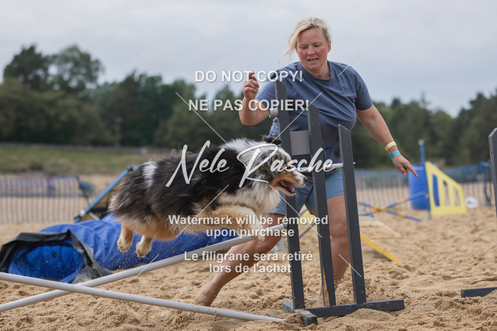 nelerasche_BuHu2026_So1530-Ende_164 | nelerasche