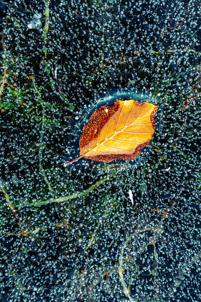 NQ8A5891 | ap-design // andreas plenk - Realisiert mit Pictrs.com