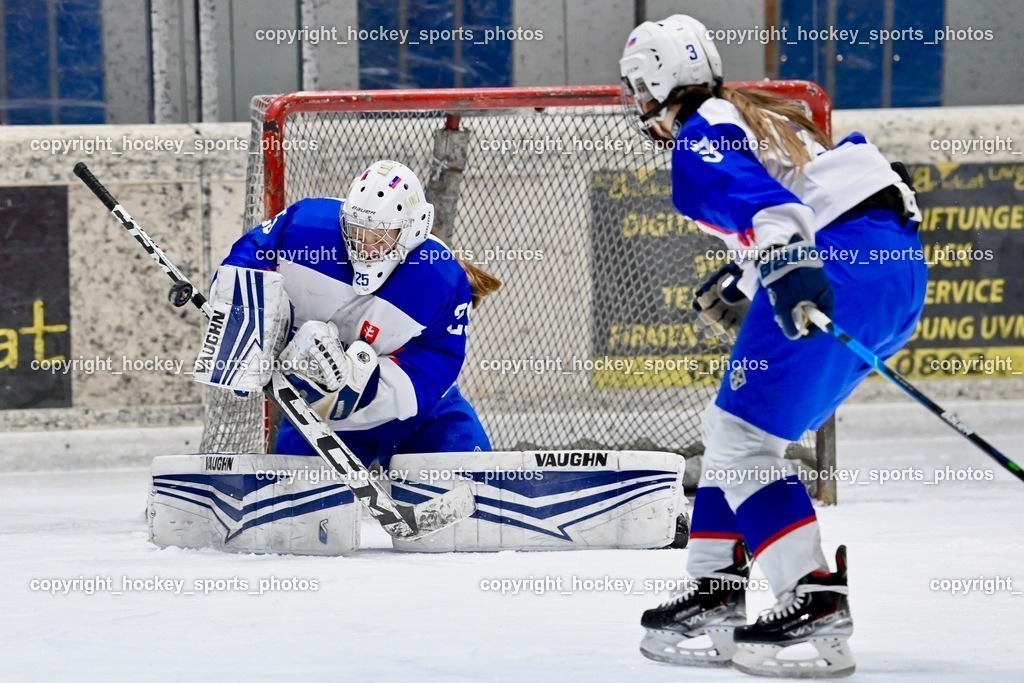 BST_5668 | hockey sports photos, Pressefotos, Sportfotos, hockey247, win 2day icehockeyleague, Handball Austria, Floorball Austria, ÖVV, Kärntner Eishockeyverband, KEHV, KFV, Kärntner Fussballverband, Österreichischer Volleyballverband, Alps Hockey League, ÖFB, 