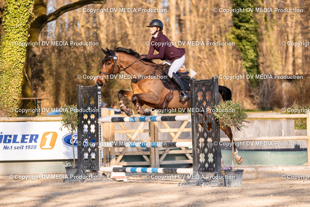 Kranichstein Tag 2-1097 | dv-media-shop - Realisiert mit Pictrs.com