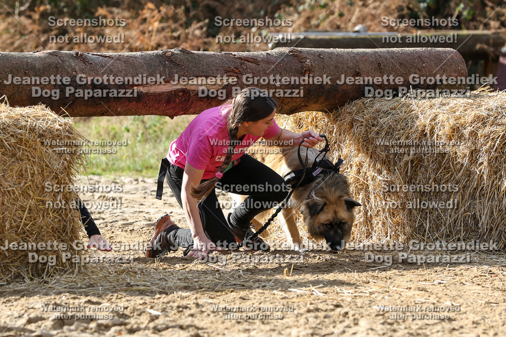 Dog Paparazzi - Strongdog 10-25-5803 | Dog Paparazzi Jeanette Grottendiek Fotografie & Videografie - Realisiert mit Pictrs.com