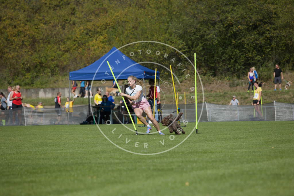 0L8A5856 | Hundefotografie, Tierfotograf, Pfotenfotografie, Fotoshooting Hund, Hunde Portrait, Hundesport, Hundeportraits, Heideshooting, Hunde, Sportfotograf, Hundefotograf, Turnierhundsport, THS,  - Realisiert mit Pictrs.com