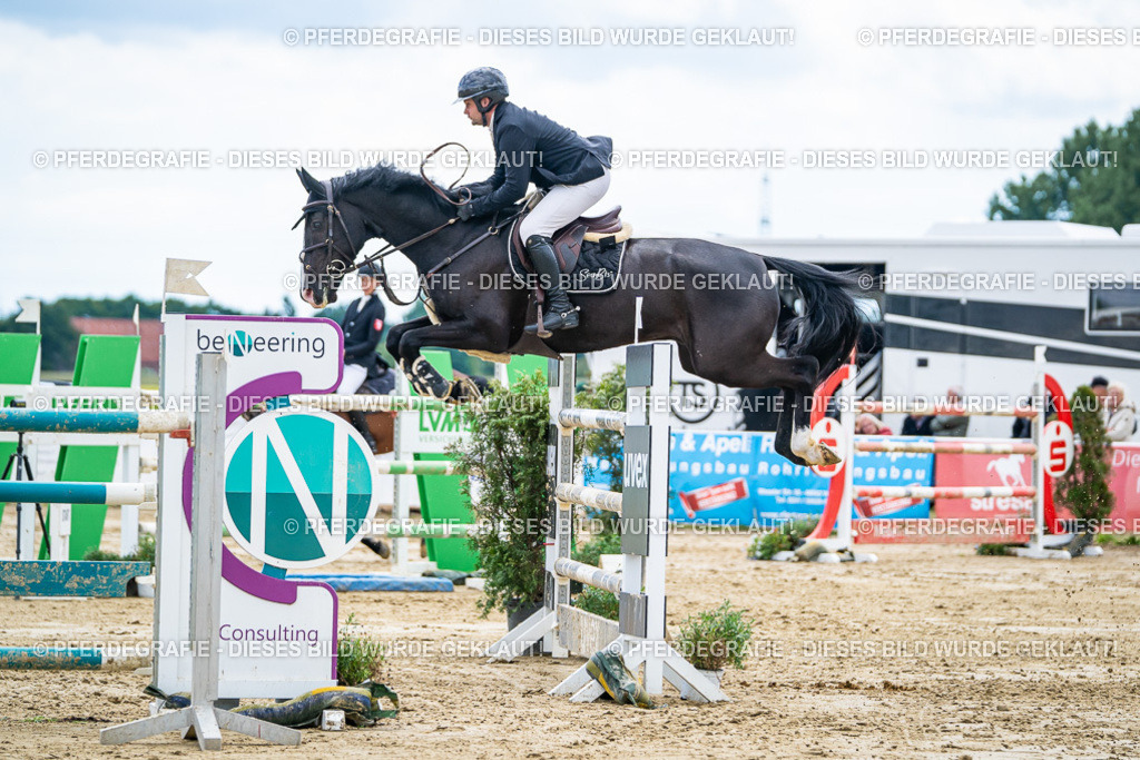 DSC05758 | Pferdegrafie