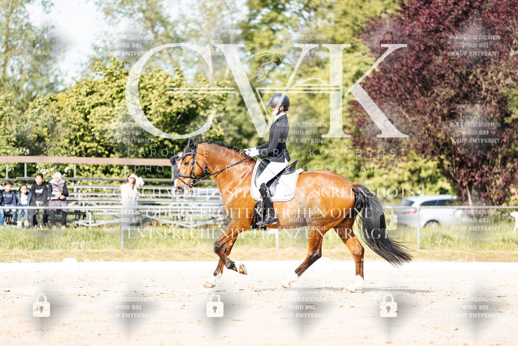 CK900167 | Turnierfotografie Pferdefotografie Trier Rheinland-Pfalz Pferdesport Reitsport Tierfotografie Sportfotografie Pferdevideo Pferdevideografie Equestrianvideography equestrianphotography  - Realisiert mit Pictrs.com