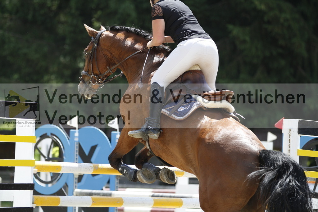 _MG_1918 | equestrian-live-com
