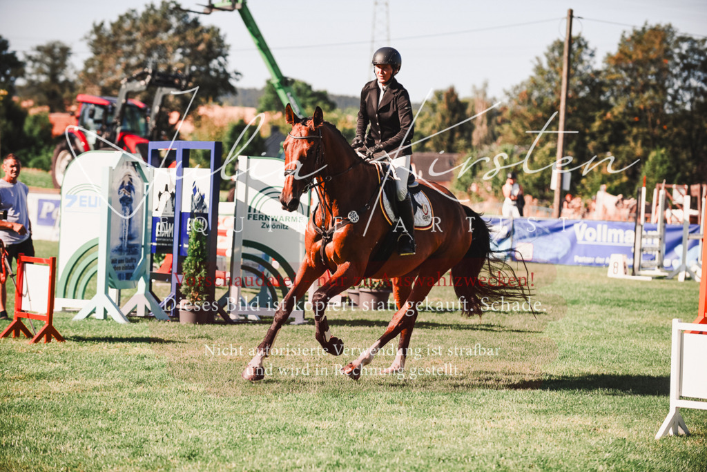 DSC_2250 | Pferde- und Turnierfotografie in Westsachsen. Pferdeportraits, Auftragszeichnungen und intuitive Kunst.
