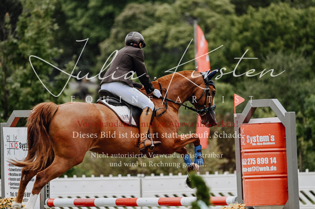 DSC_6970 | Pferde- und Turnierfotografie in Westsachsen. Pferdeportraits, Auftragszeichnungen und intuitive Kunst.
