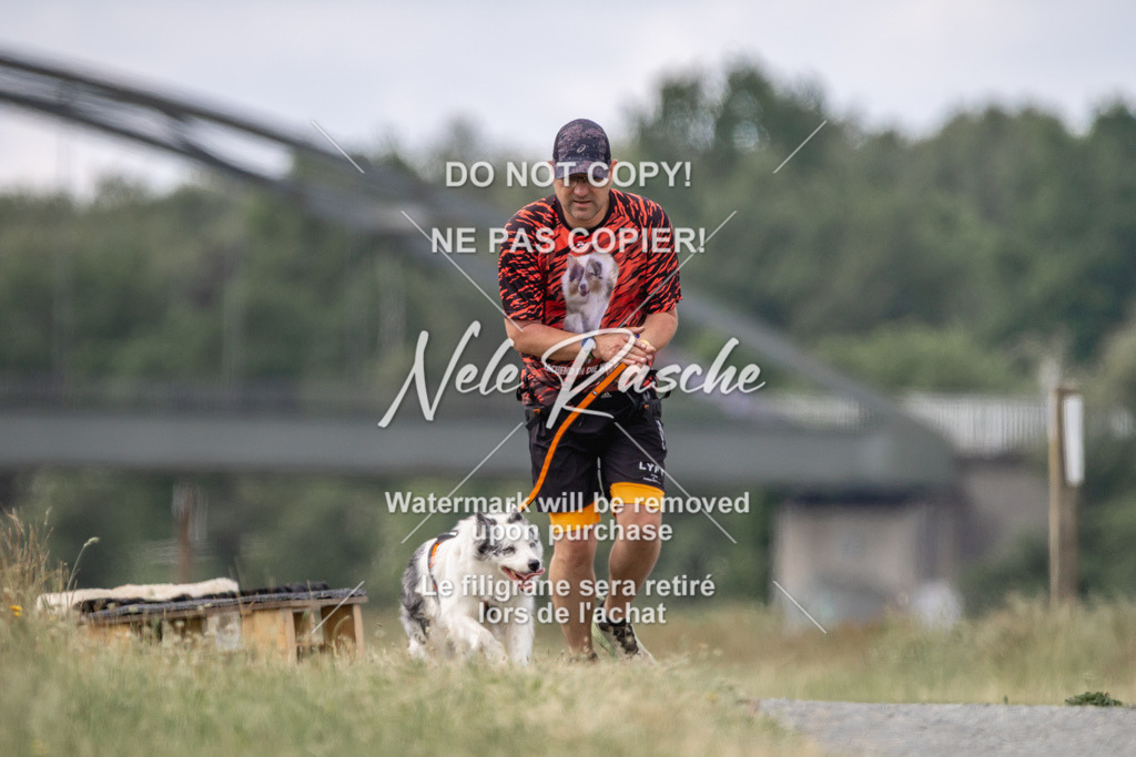 nelerasche_BuHu2026_SaCC1100-1200_43 | nelerasche