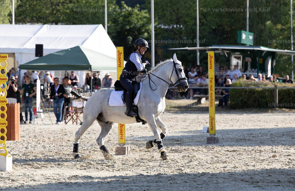 WS_SPEED_57_KerstinBernhardt-2 | working equitationturnier fotograf videograf stoibphotography marixx film working equitation deutschland reitsport turnierfotografie eventfotografie equestrian events