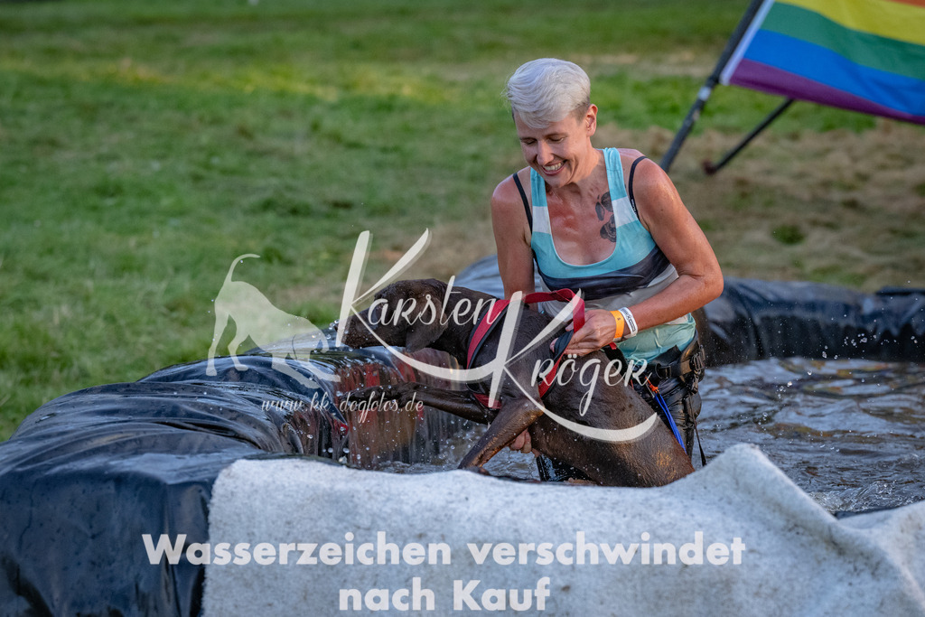 1915_ZZ92527 | kk-dogfotos