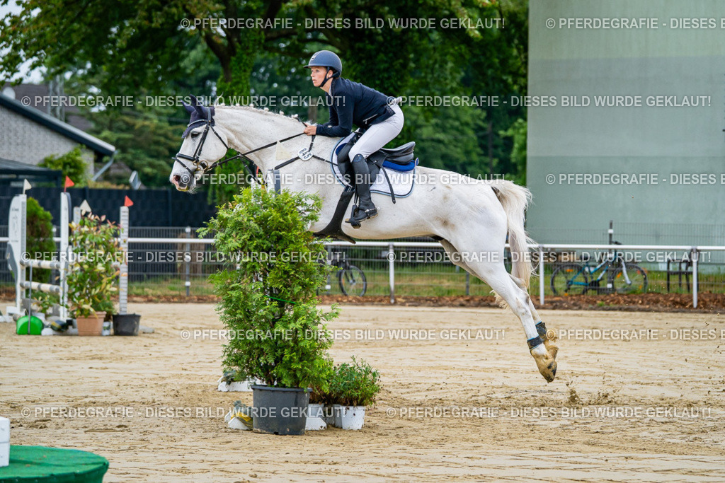 DSC01839 | Pferdegrafie