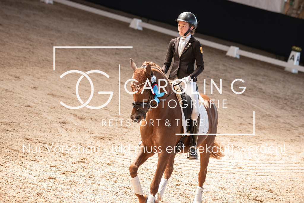 DSC_3527 | Carolin Gieschke