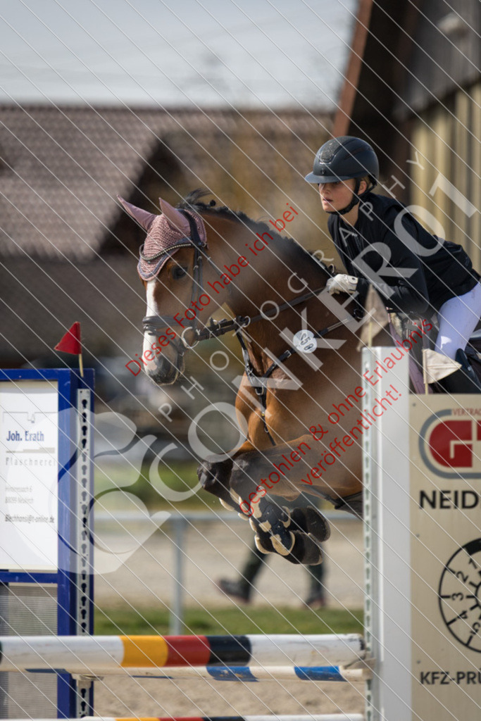 IMG_4224 | Sport-, Event- und Tierfotos in Profiqualität. Einfach auswählen, bestellen und herunterladen. Dein Moment – perfekt festgehalten.