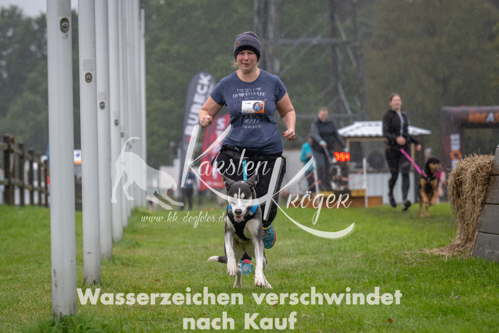 1259-92893 | kk-dogfotos