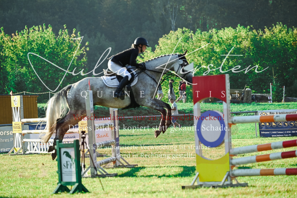 DSC_4238 | Pferde- und Turnierfotografie in Westsachsen. Pferdeportraits, Auftragszeichnungen und intuitive Kunst.