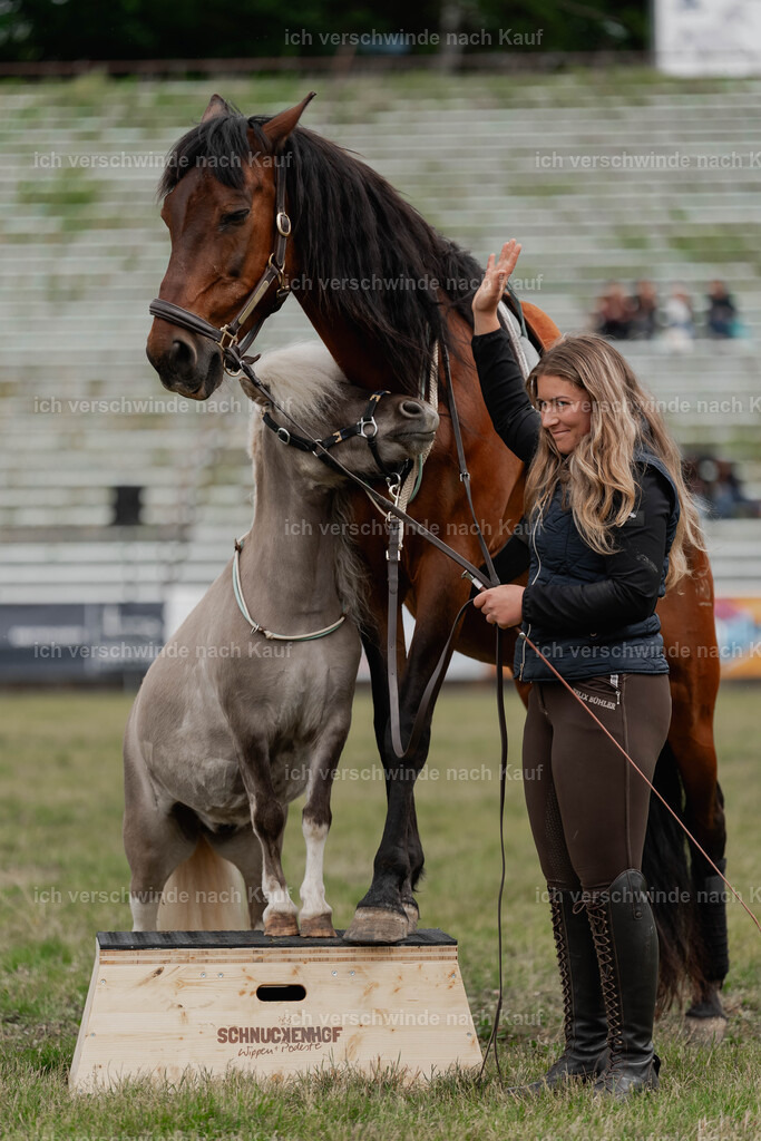 Showprogramm-128 | working equitationturnier fotograf videograf stoibphotography marixx film working equitation deutschland reitsport turnierfotografie eventfotografie equestrian events