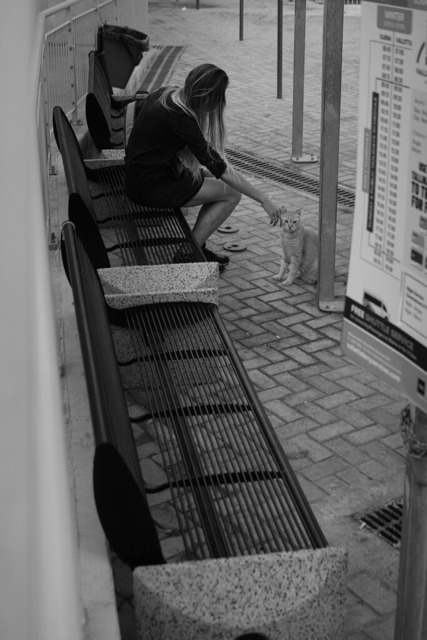 _DSF0079-Malta4 | blende43