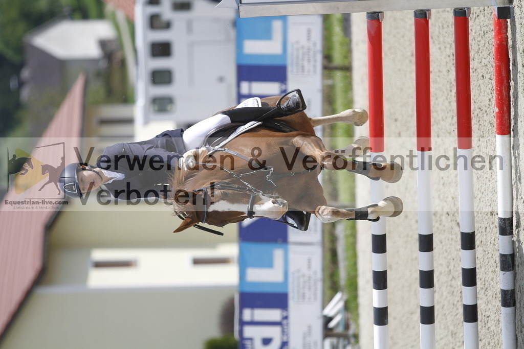 _MG_2220 | equestrian-live-com