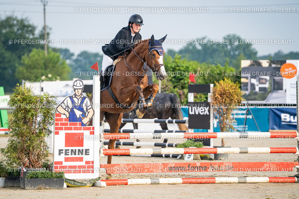 DSC07568 | Pferdegrafie