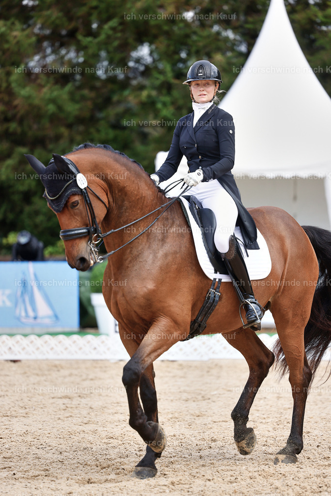 07-189-DRESSUR  S___  -StoibPH-5056 | working equitationturnier fotograf videograf stoibphotography marixx film working equitation deutschland reitsport turnierfotografie eventfotografie equestrian events