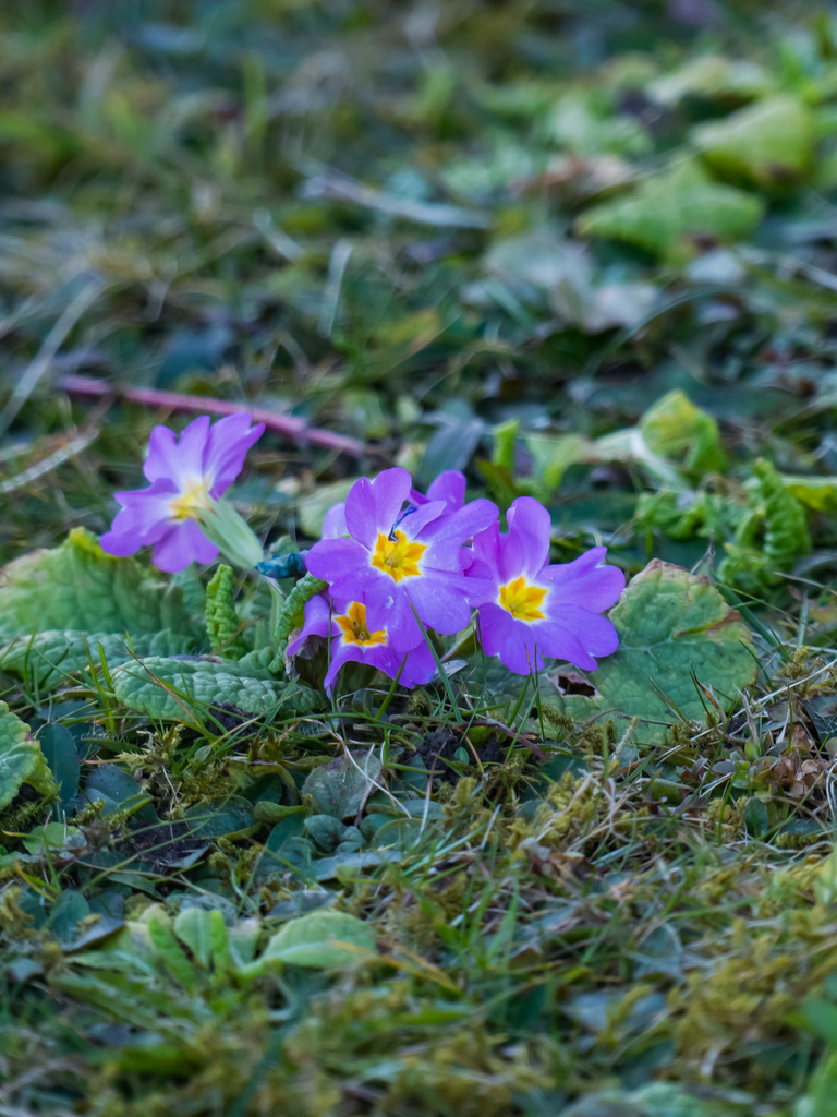 PSX_20230309_231148 | mtkfoto_ - Realisiert mit Pictrs.com