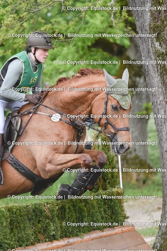 20250517_CCI1_Gelände_0455 | Foto: Thomas Hartig