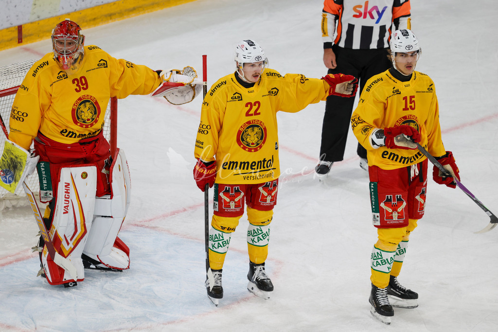 701A6006 | Sportbilder, Sportfotograf, Hochzeits- und Eventfotografin, Flugshows, Portraits und Tiershooting, Aviation, Downhill, Nationalleague, Swissleague, International