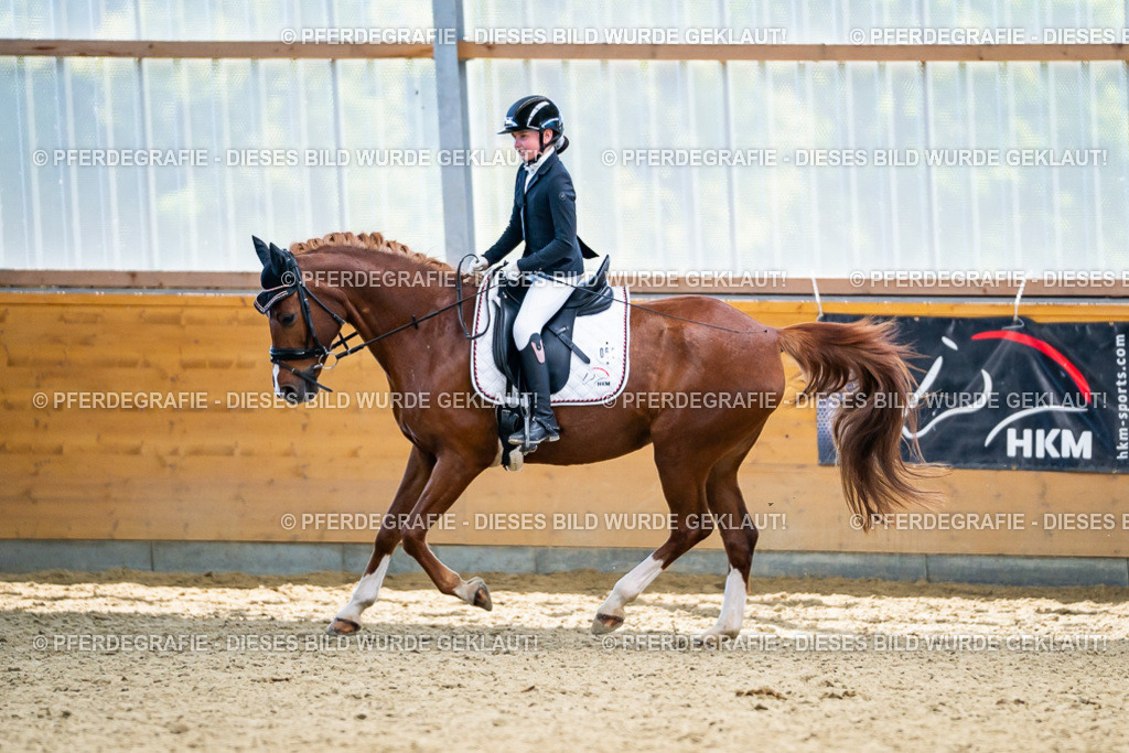 DSC05218 | Pferdegrafie