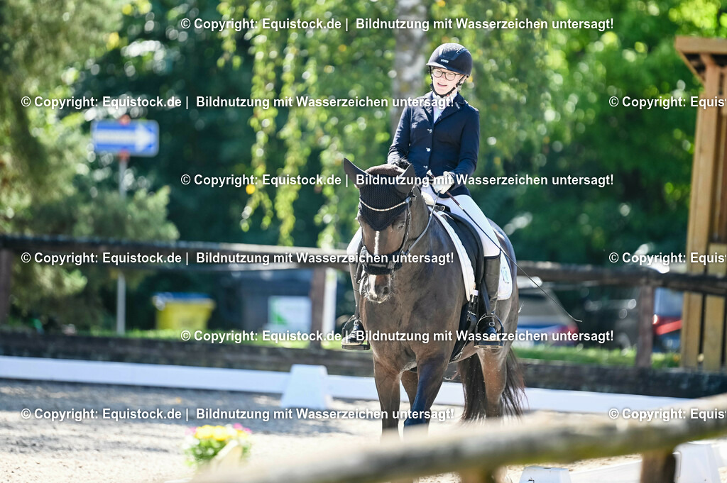 20230908_06_Dressur-L-Trense_0552 | equistock