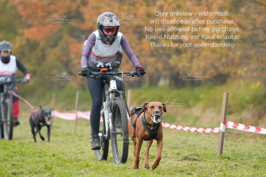 Visbeck_Sa_Bike-288 | stephaniefillaphotographie - Realisiert mit Pictrs.com