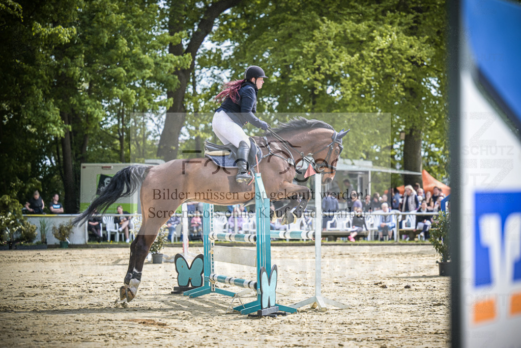 DOS_0686 | Entdecke hochwertige Reitturnierfotos von Foto Oger. Professionell, emotional und authentisch – jetzt Lieblingsmomente im Shop bestellen.Deutschlandweite Turnierfotografie. - Realisiert mit Pictrs.com