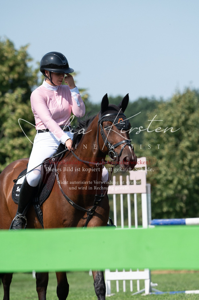 DSC_0619 | Pferde- und Turnierfotografie in Westsachsen. Pferdeportraits, Auftragszeichnungen und intuitive Kunst.