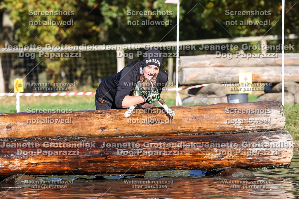 Dog Paparazzi - Strongdog 10-25-8864 | Dog Paparazzi Jeanette Grottendiek Fotografie & Videografie - Realisiert mit Pictrs.com