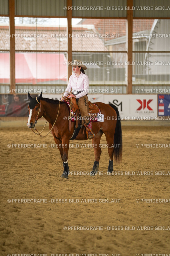 DSC08437 | Pferdegrafie