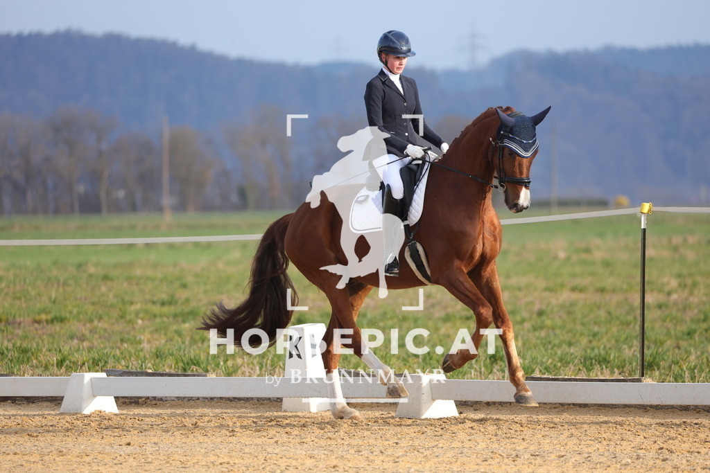 0P6A5950 | Willkommen bei Brunnmayr - Design & Fotografie – Ihrem Spezialisten für Reitturniere und Pferdeveranstaltungen in Oberösterreich, Salzburg und Bayern! Seit über 17 Jahren sind wir leidenschaftlich dabei.