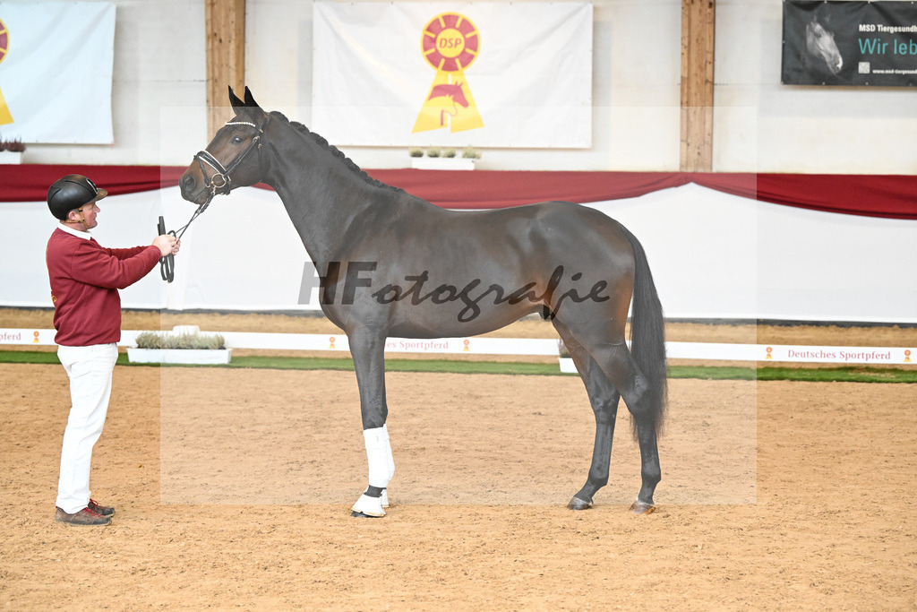 Kat-Nr. 36 Freiherr von Stein x Monteverdi_Leitl_47240588 | hf-fotografie - Realizzato con Pictrs.com
