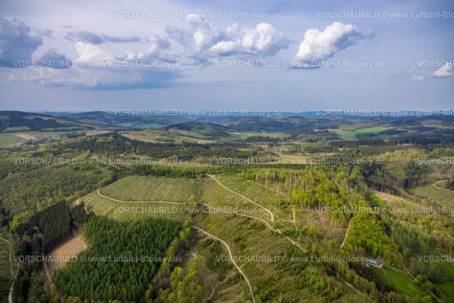 Kreuztal240502450Grubenfeld-Littfeld-Kindelsberg | Luftbild, Waldgebiet mit Waldschäden, Grubenfeld Grubengelände Littfeld Kindelsberg, Hügel und Täler Fernsicht mit Wolken, Müsen, Hilchenbach, Nordrhein-Westfalen, Deutschland
