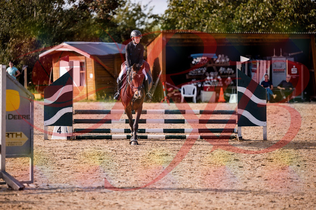 2026_10_03_Siefer-Hof_155949_Z81_80122078 | Professionelle Reitsport-, Turnier- und Eventfotografie von Robert Broda. Galerien mit ausgewählten und bearbeiteten Bildern direkt online ansehen und bestellen.