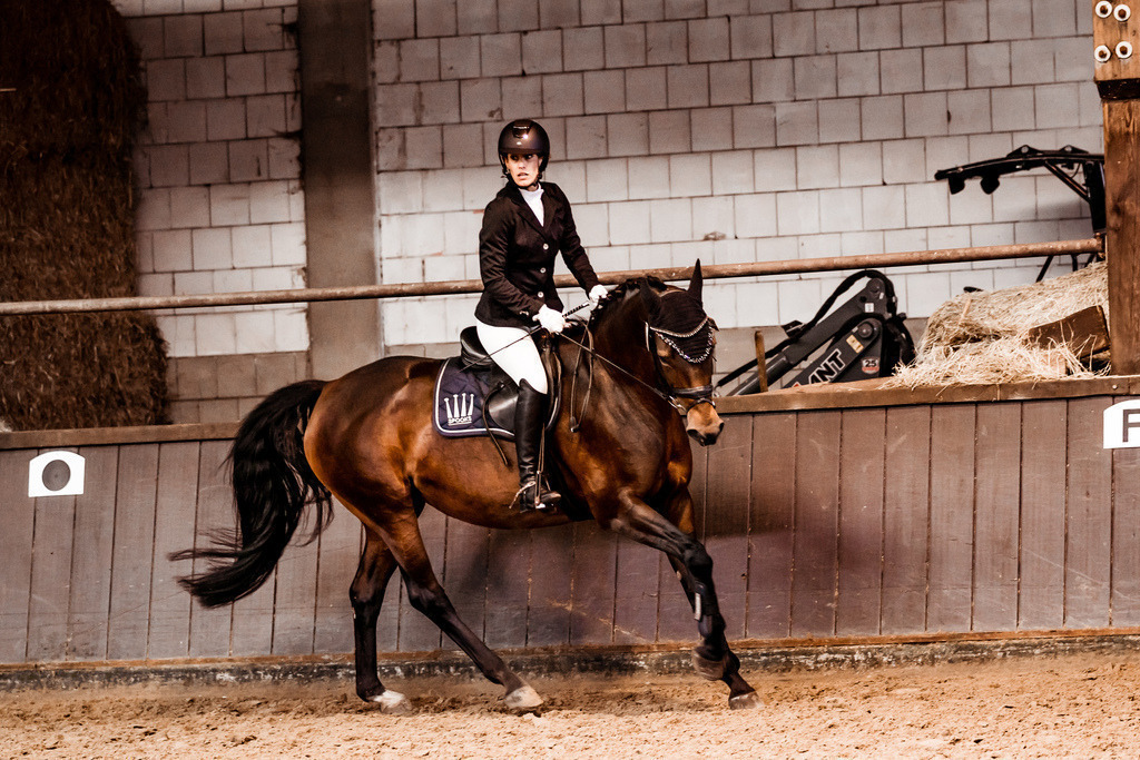 Kombi-2 | Kristin Schumacher Photography