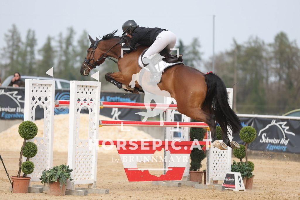 0P6A7510 | Willkommen bei Brunnmayr - Design & Fotografie – Ihrem Spezialisten für Reitturniere und Pferdeveranstaltungen in Oberösterreich, Salzburg und Bayern! Seit über 17 Jahren sind wir leidenschaftlich dabei.