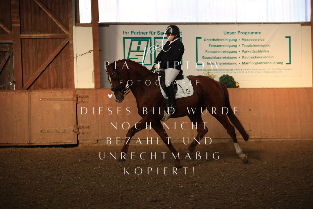 IMGT0565 | pl-fotografie